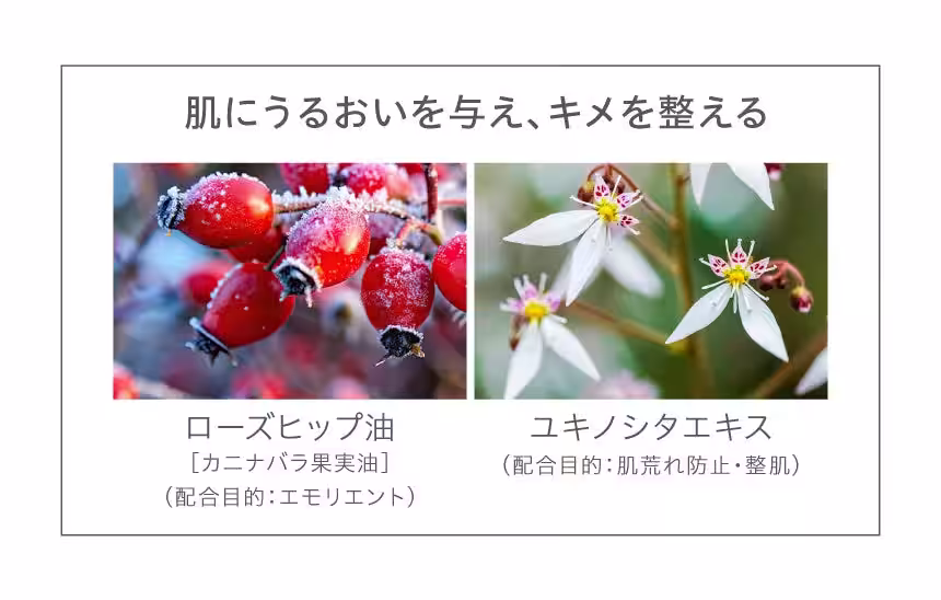 画像18