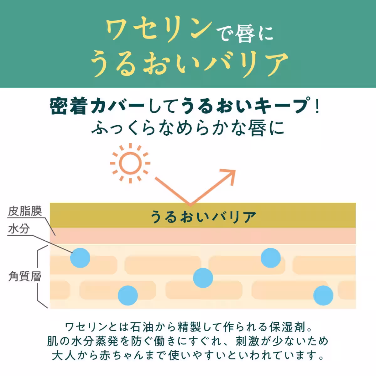 画像12