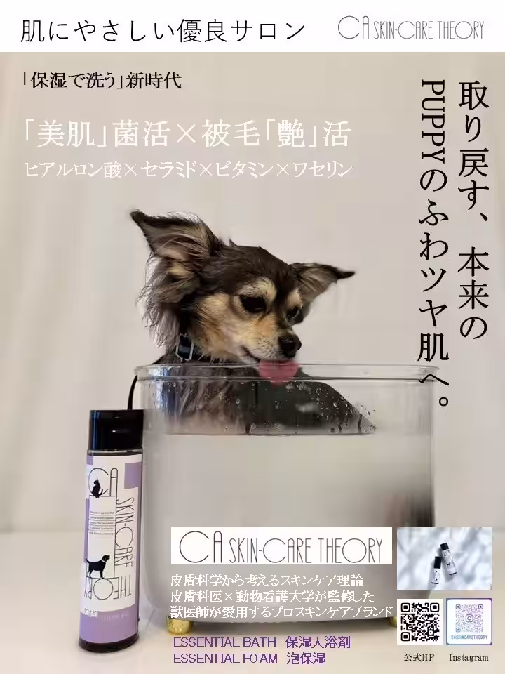 画像12