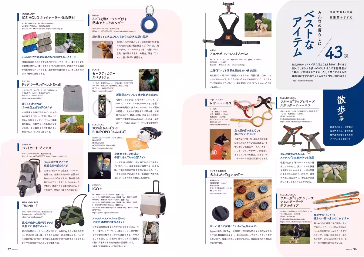 画像5