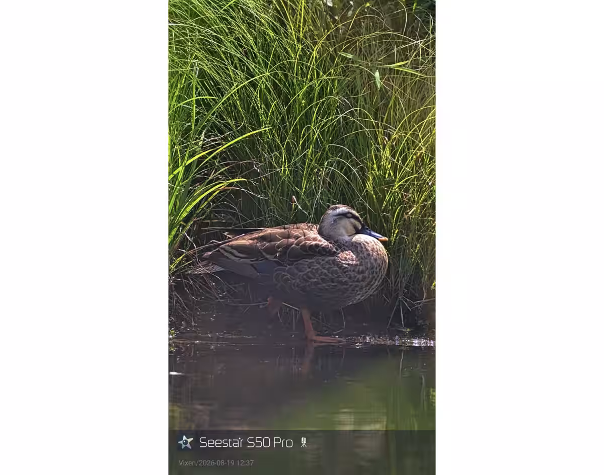 画像9