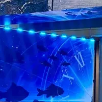 琵琶湖博物館30周年