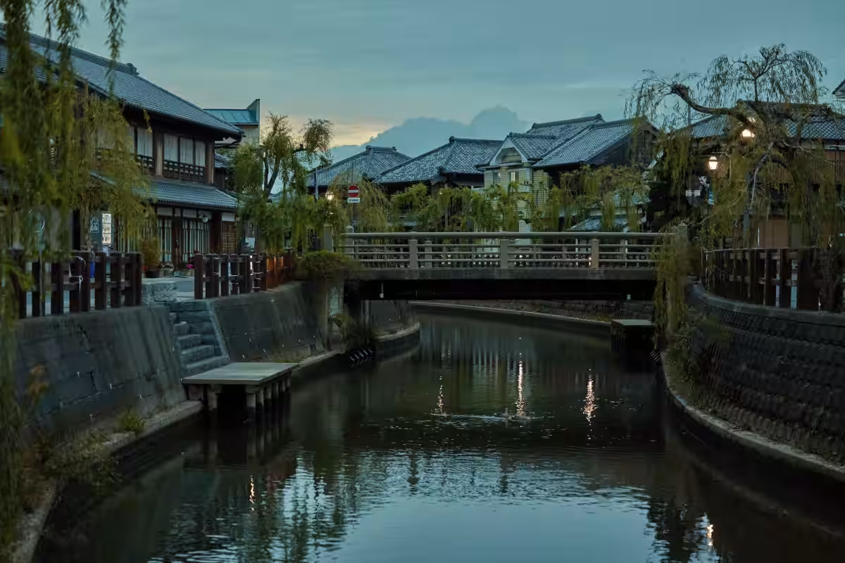 画像7