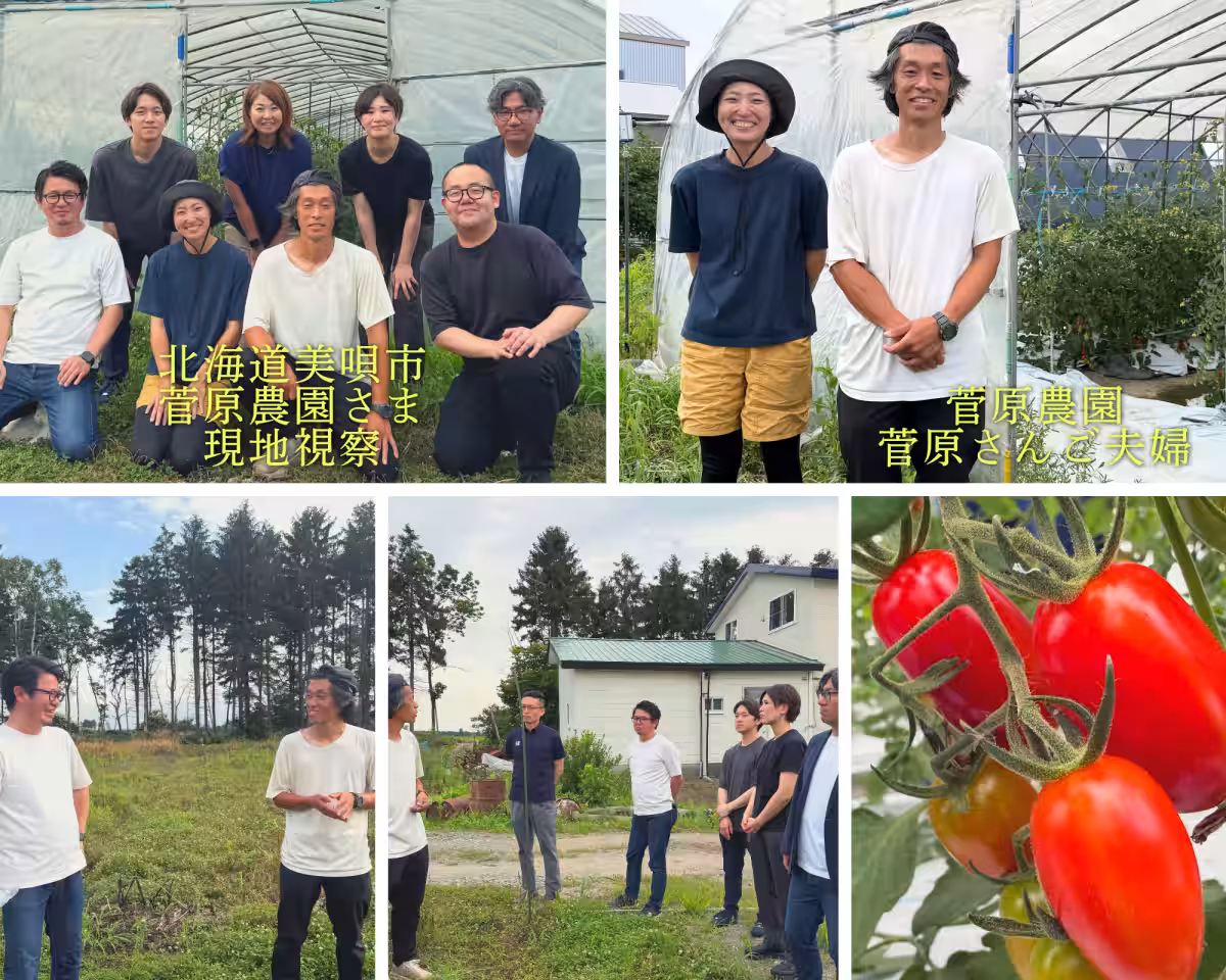 画像12