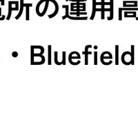 蓄電所運用の未来