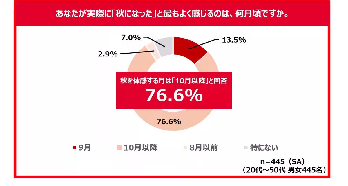 画像12