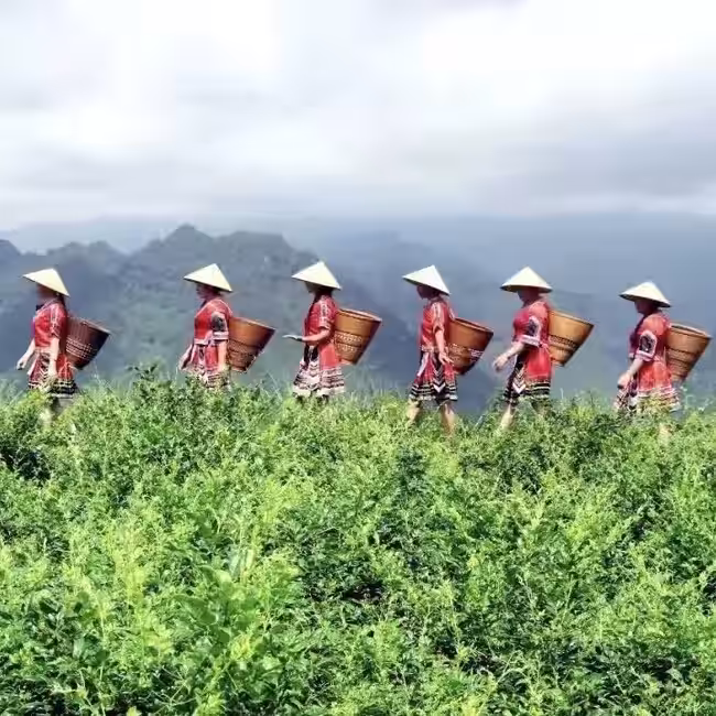 画像26