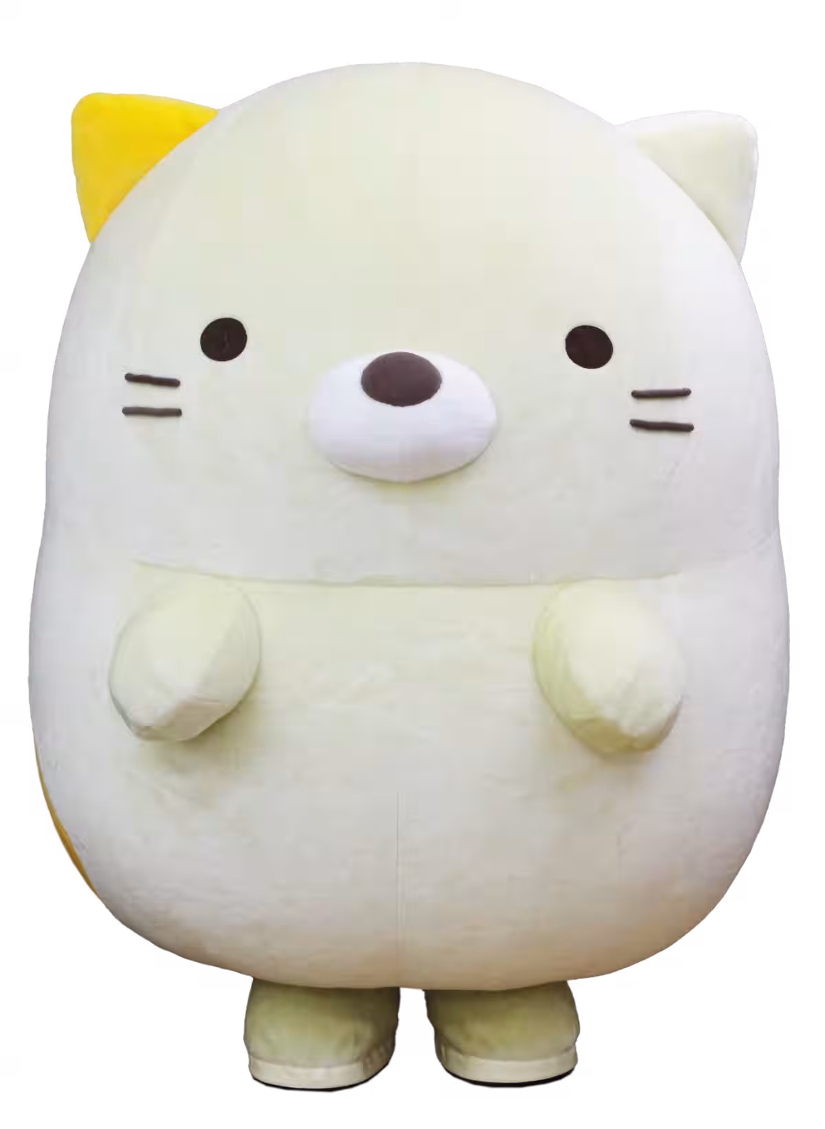 画像11