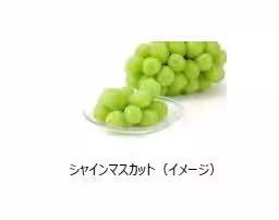 画像20