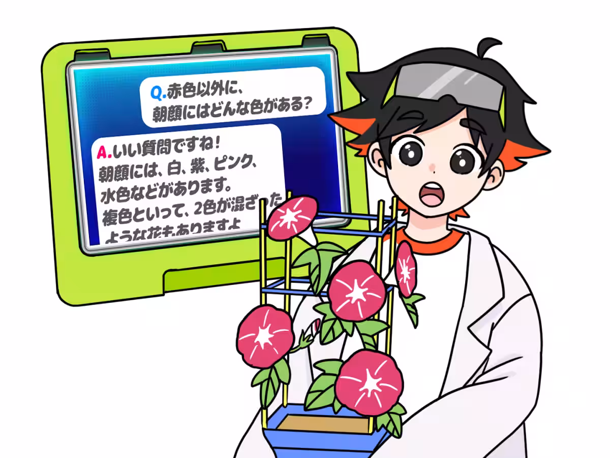 画像1