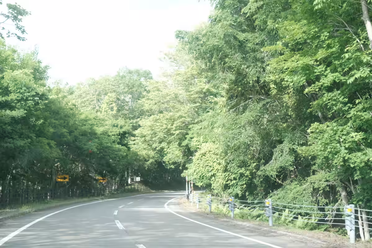 画像6