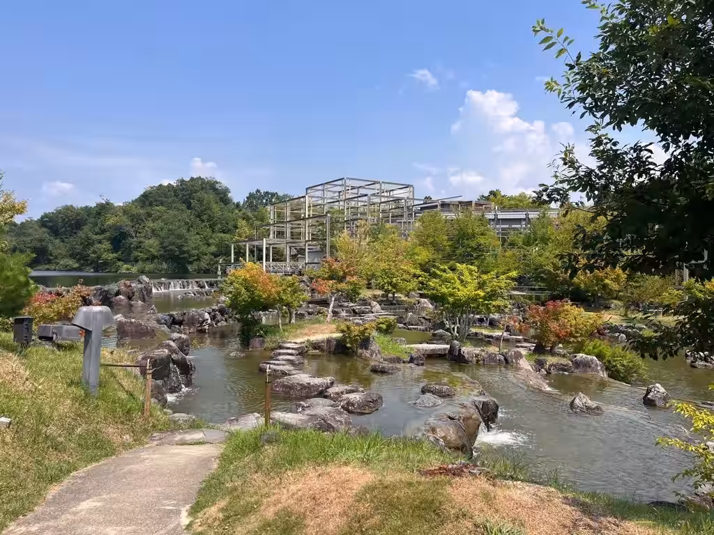 画像7