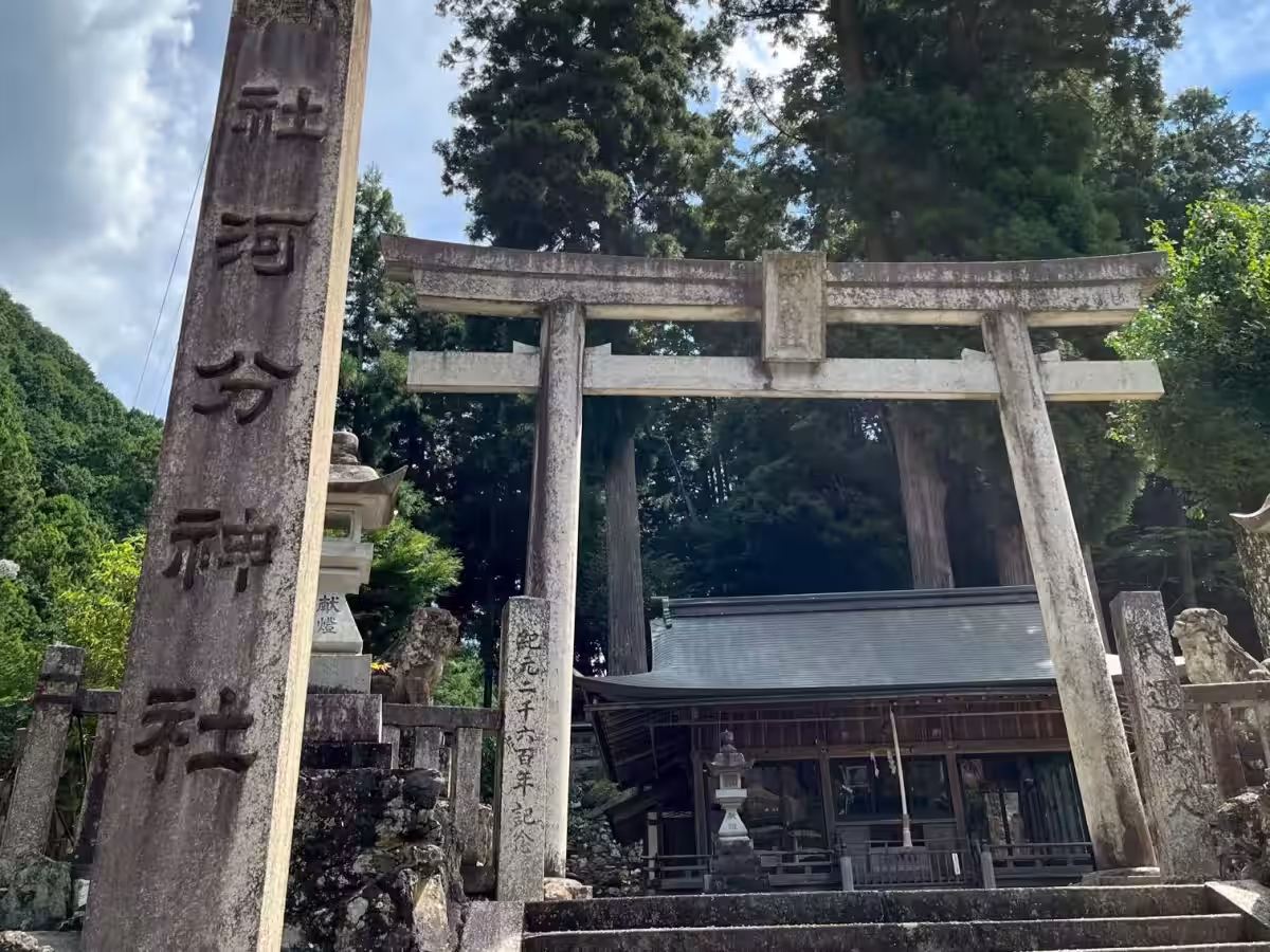 画像4