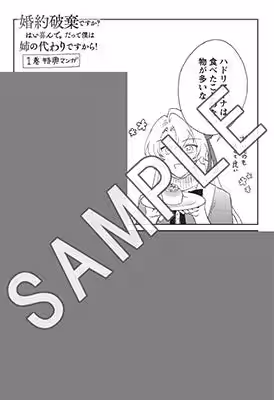 画像12
