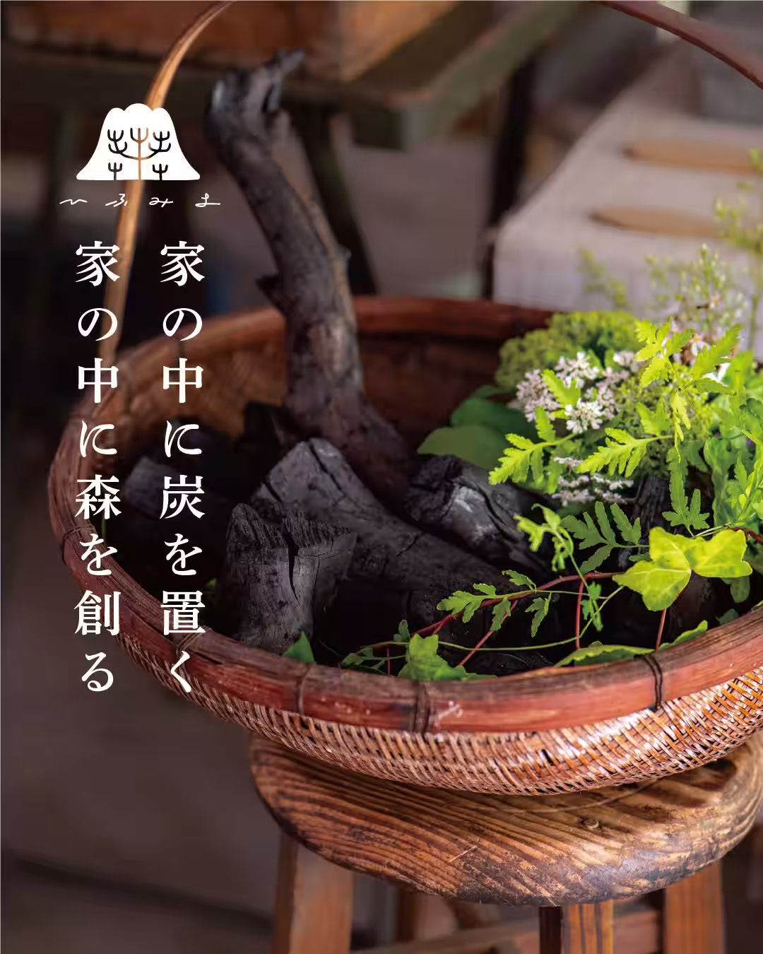画像11