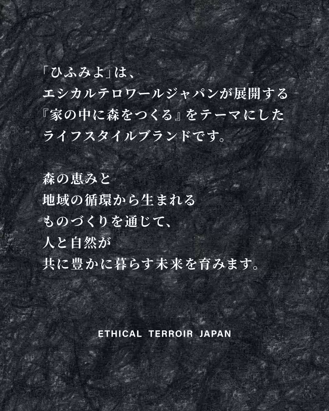 画像15