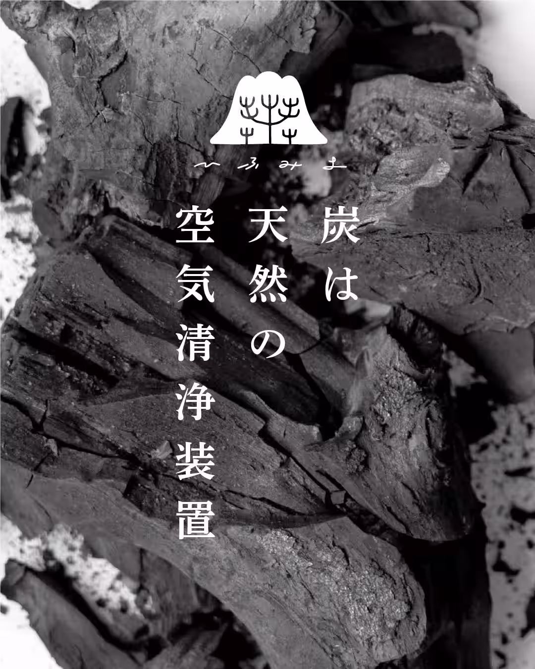 画像14