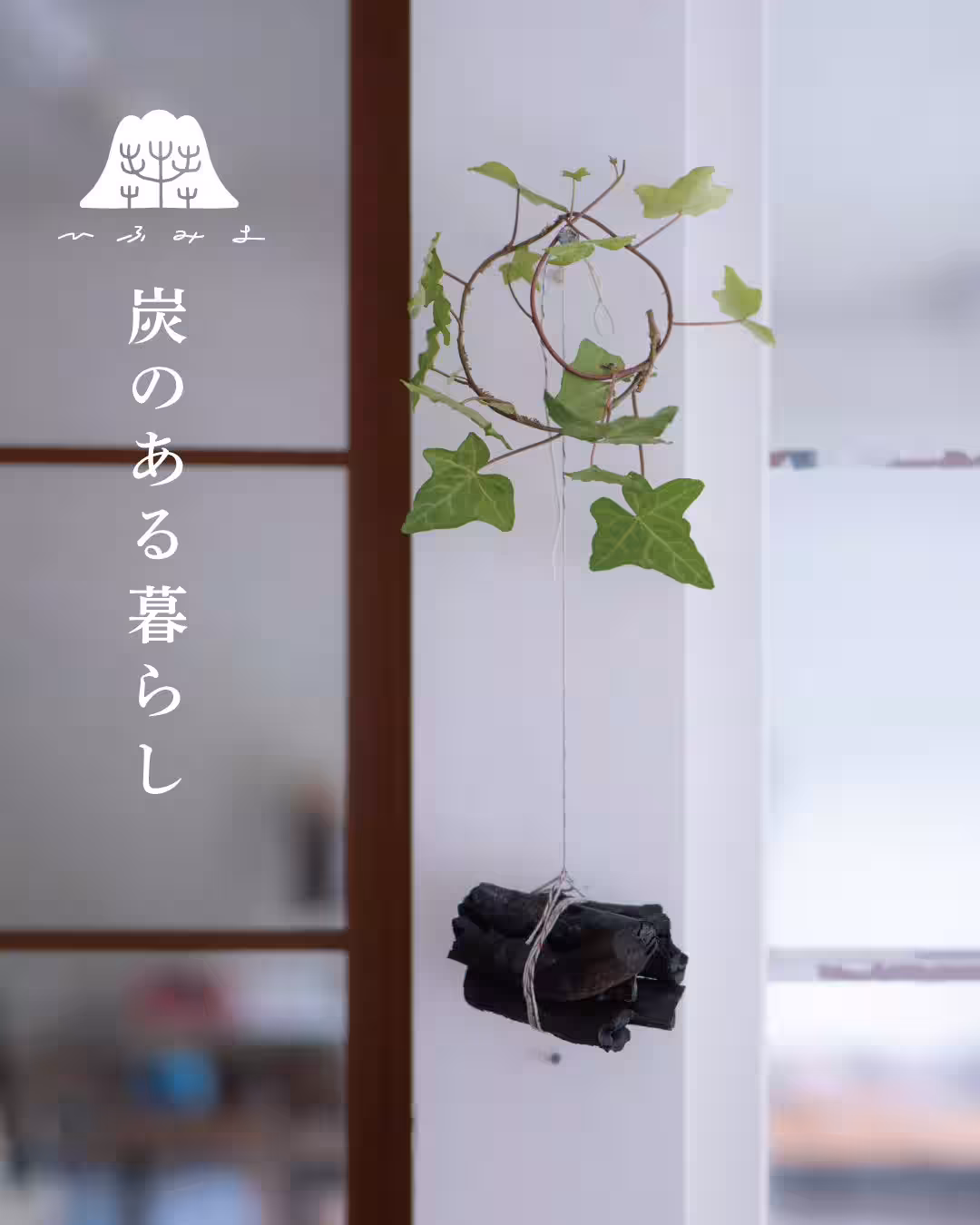 画像16