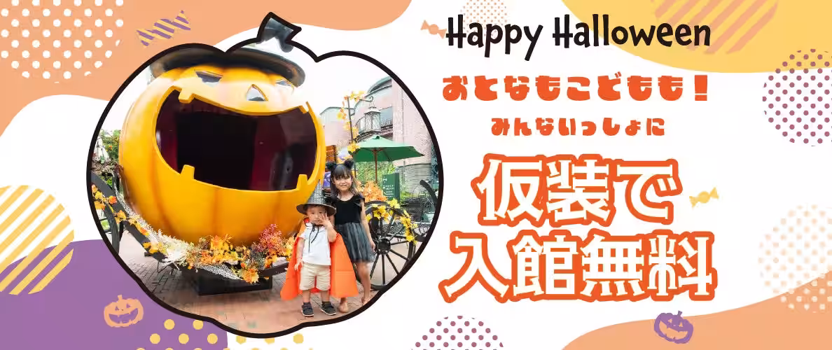 画像12