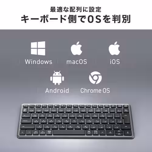 画像9