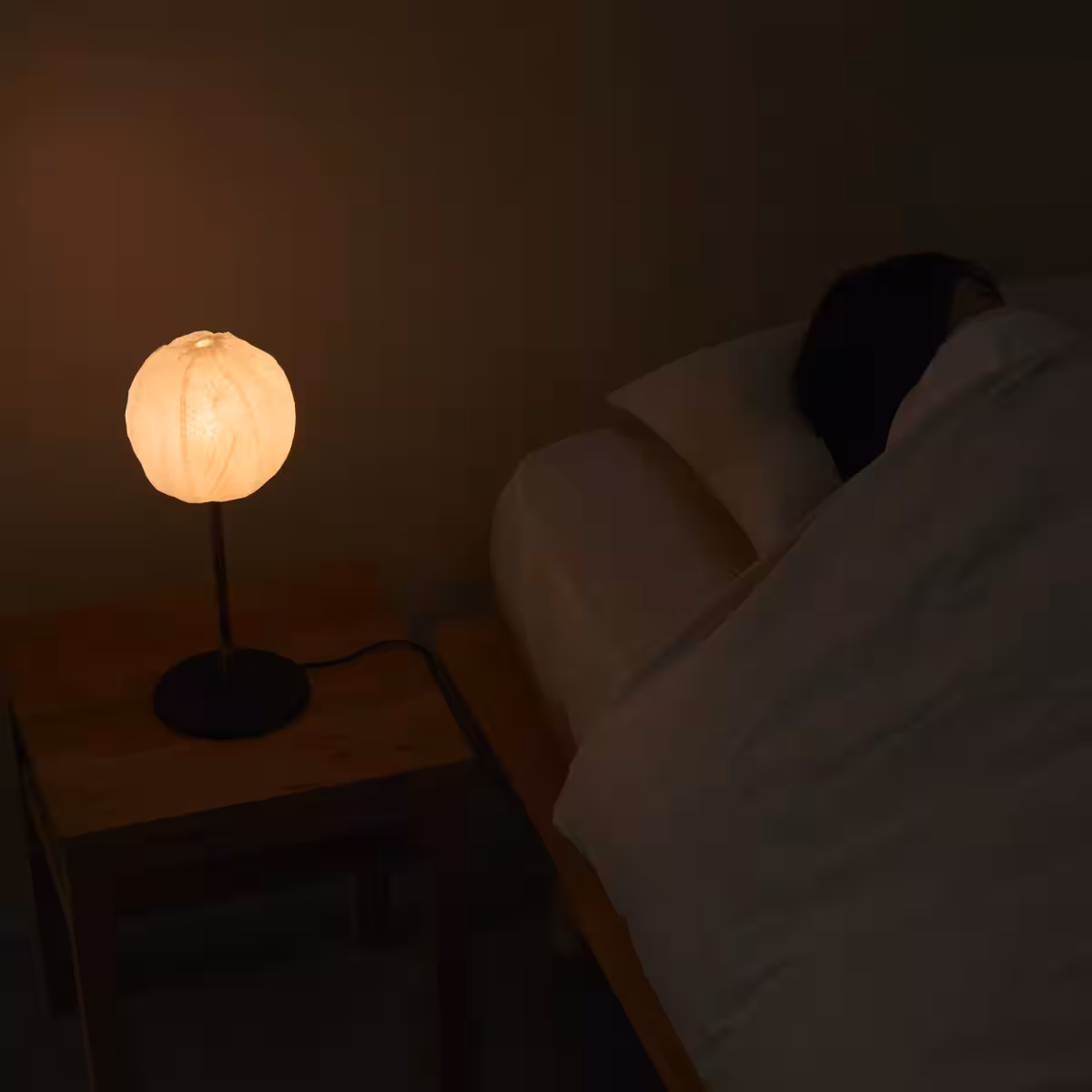 画像14