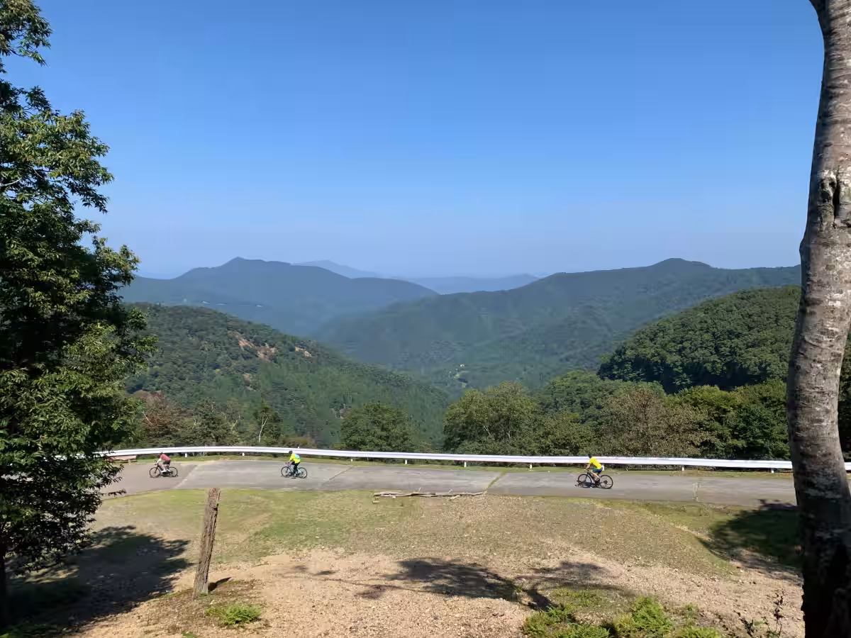 画像12