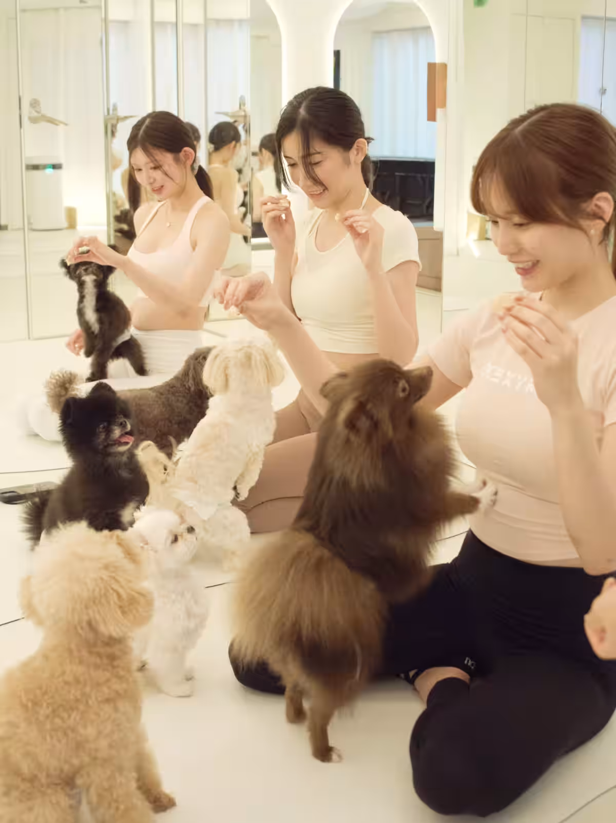 画像4