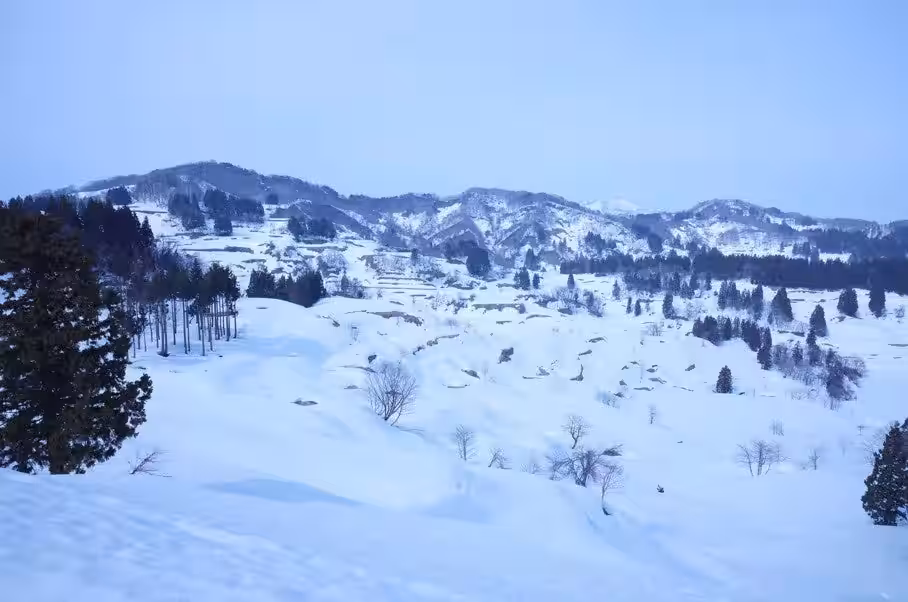 画像10