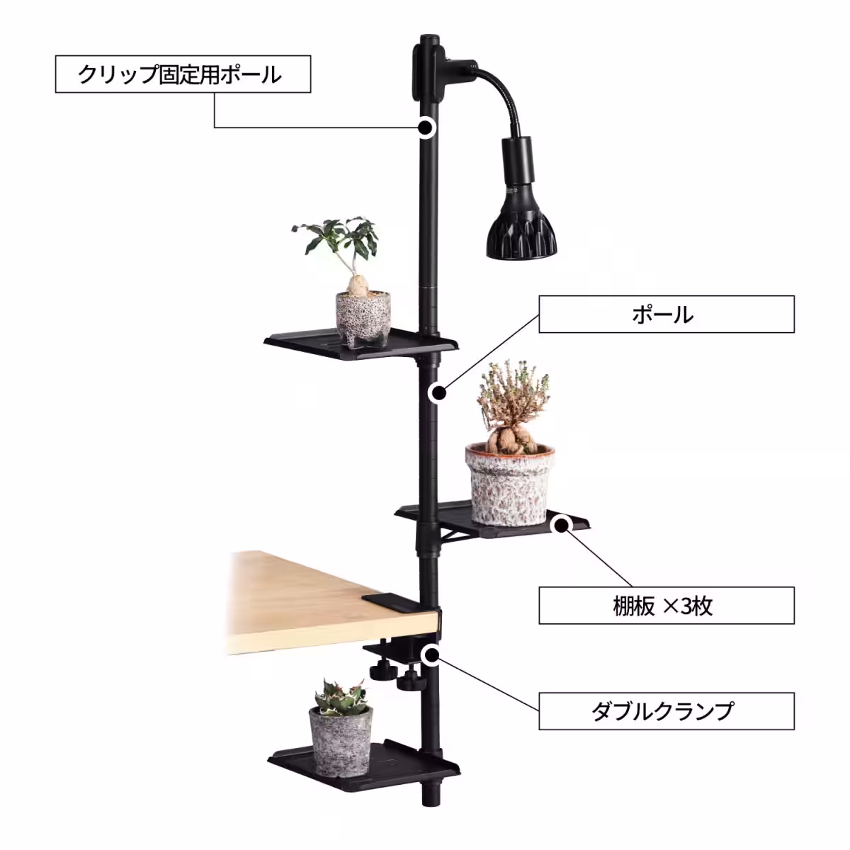 画像15