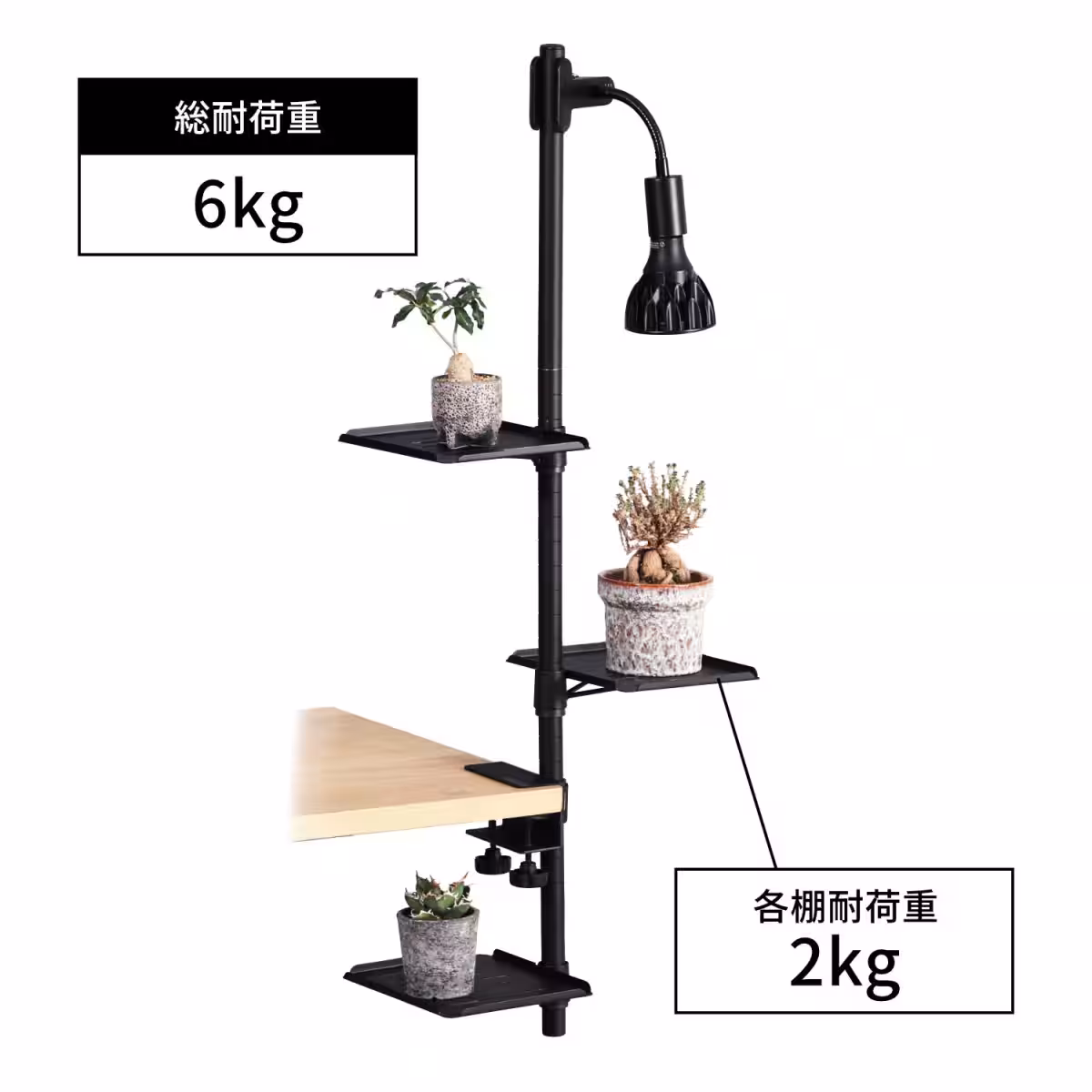 画像13
