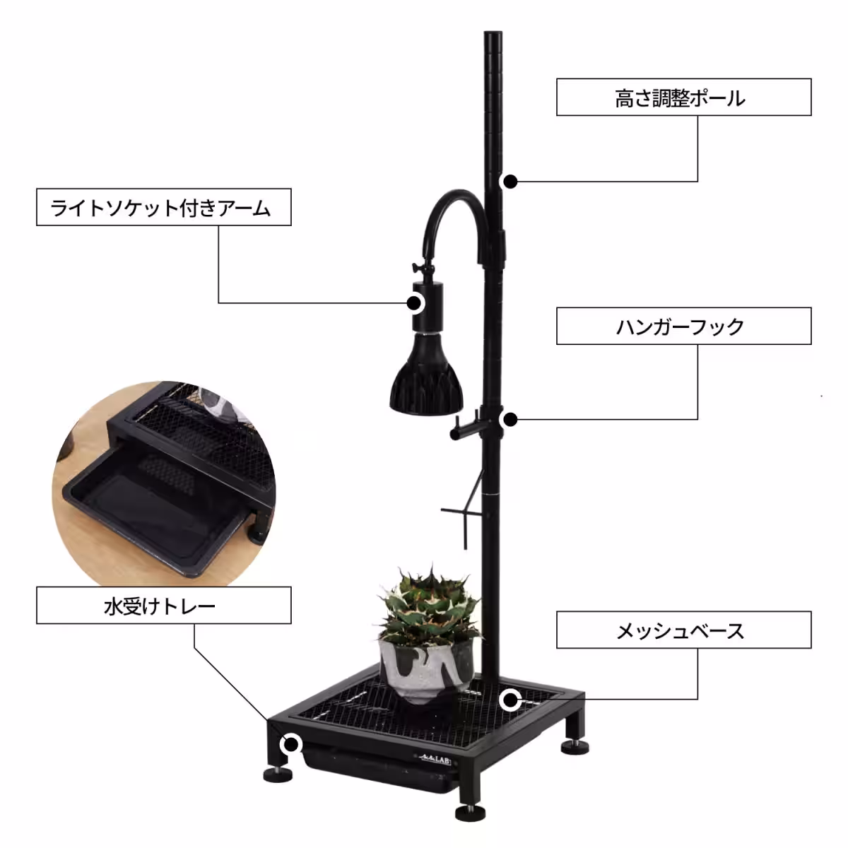 画像9