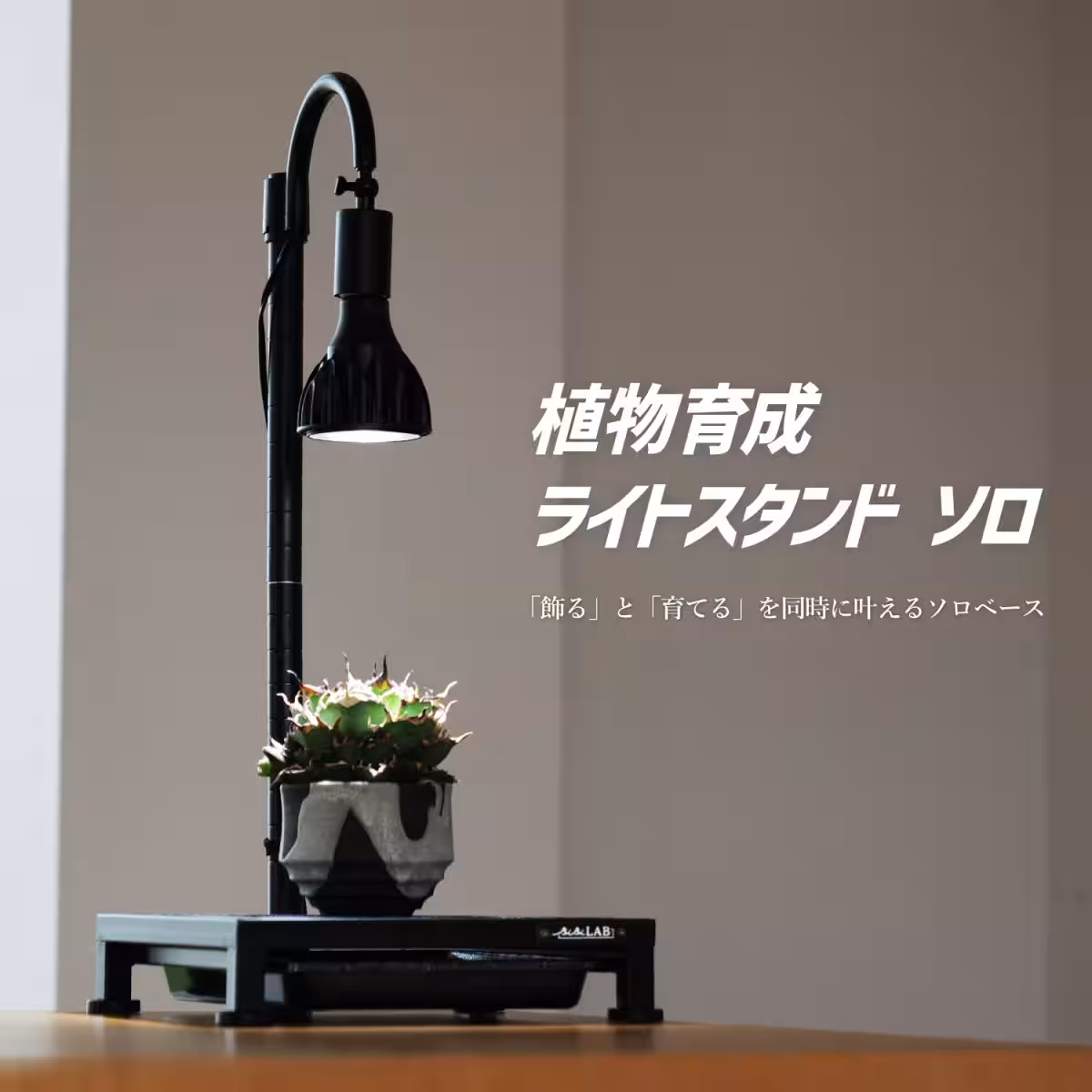 画像10