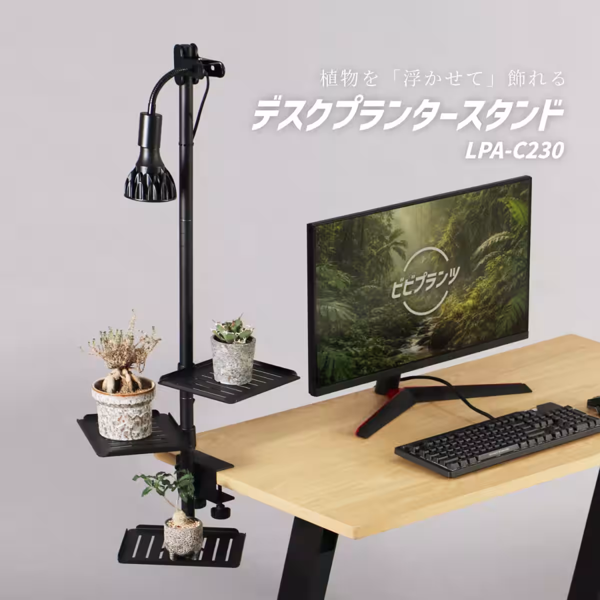 画像16