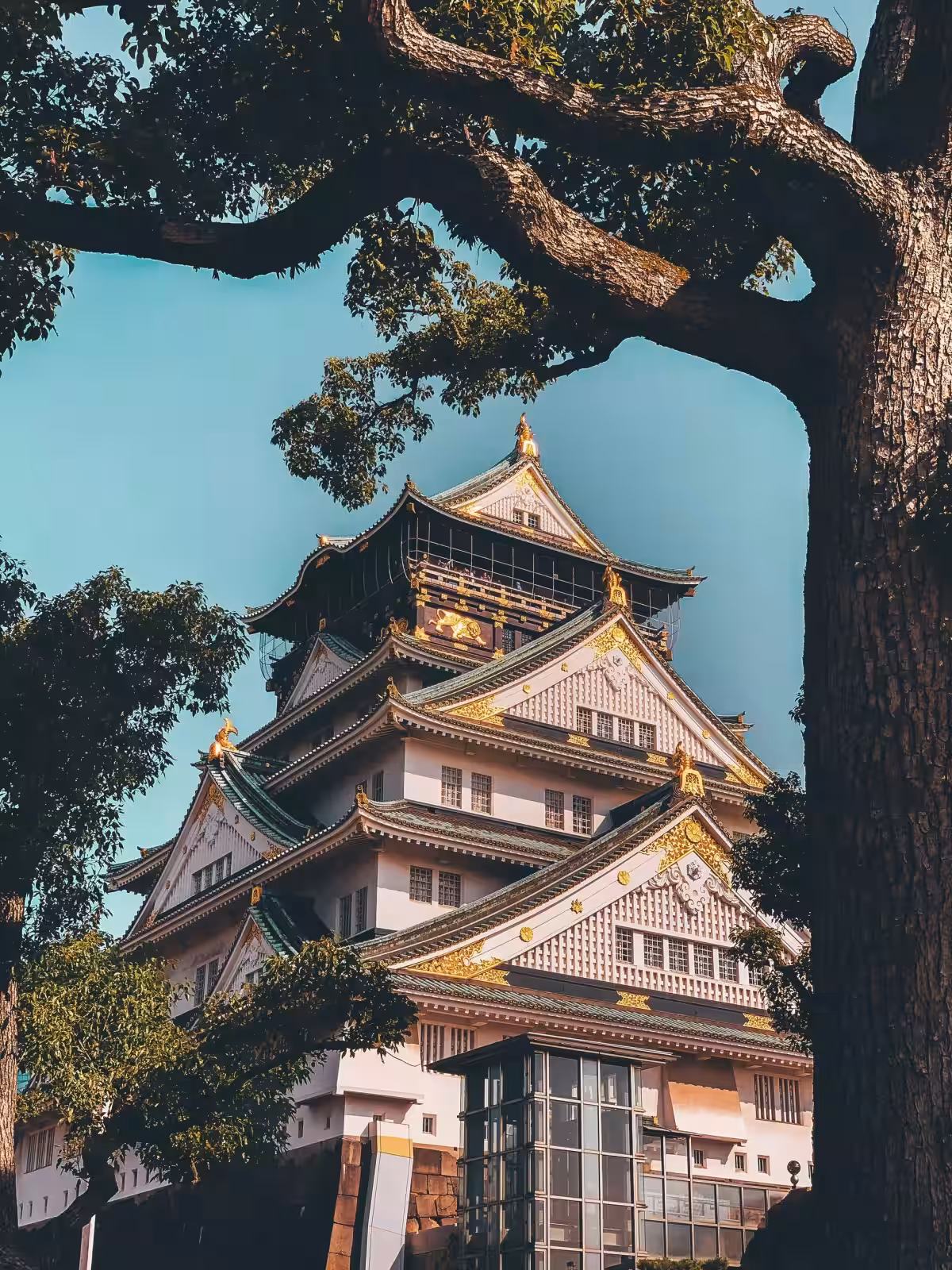画像9