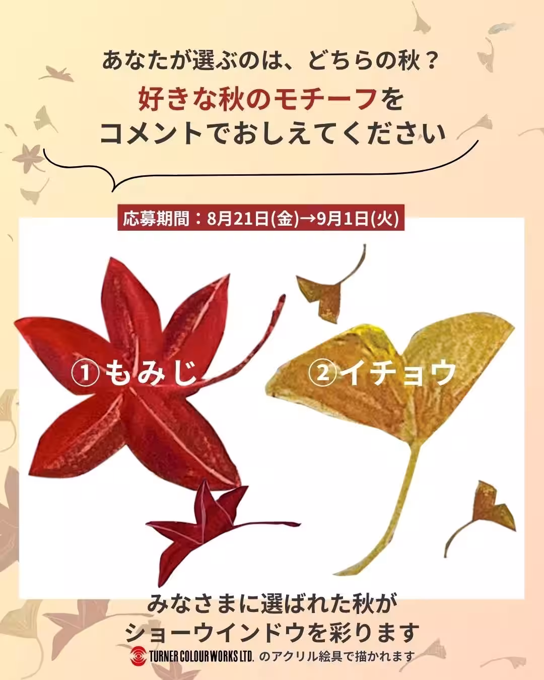 画像9