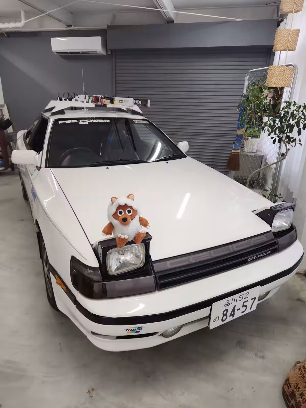 画像13