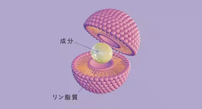 画像4