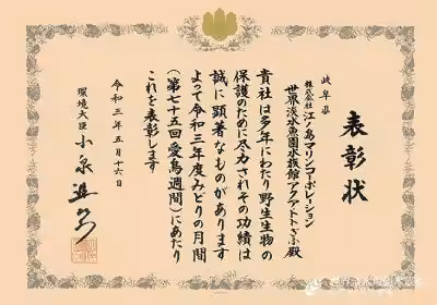 画像13