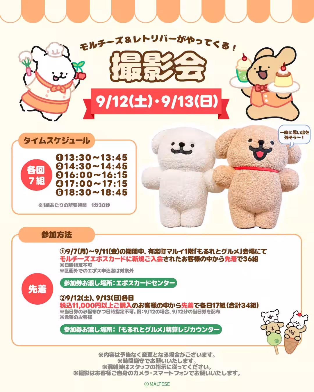 画像8