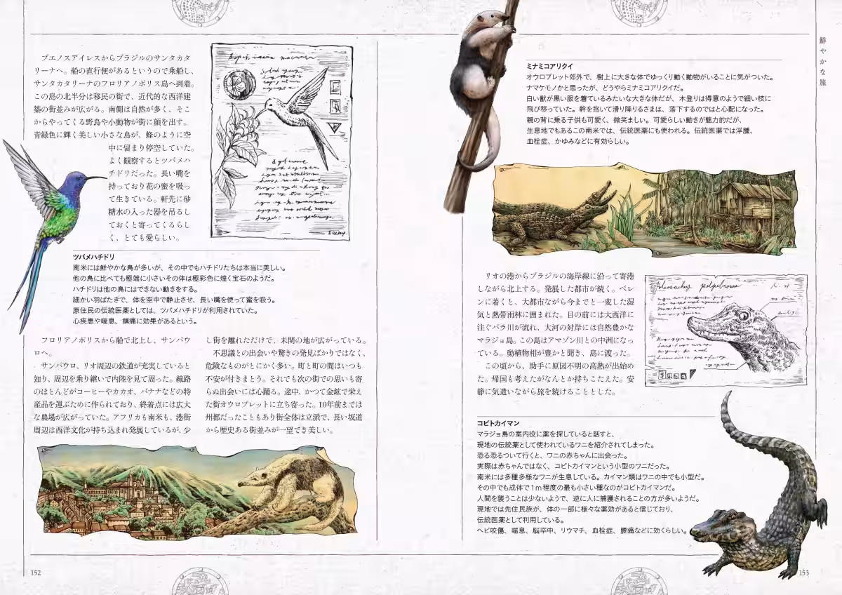 画像6