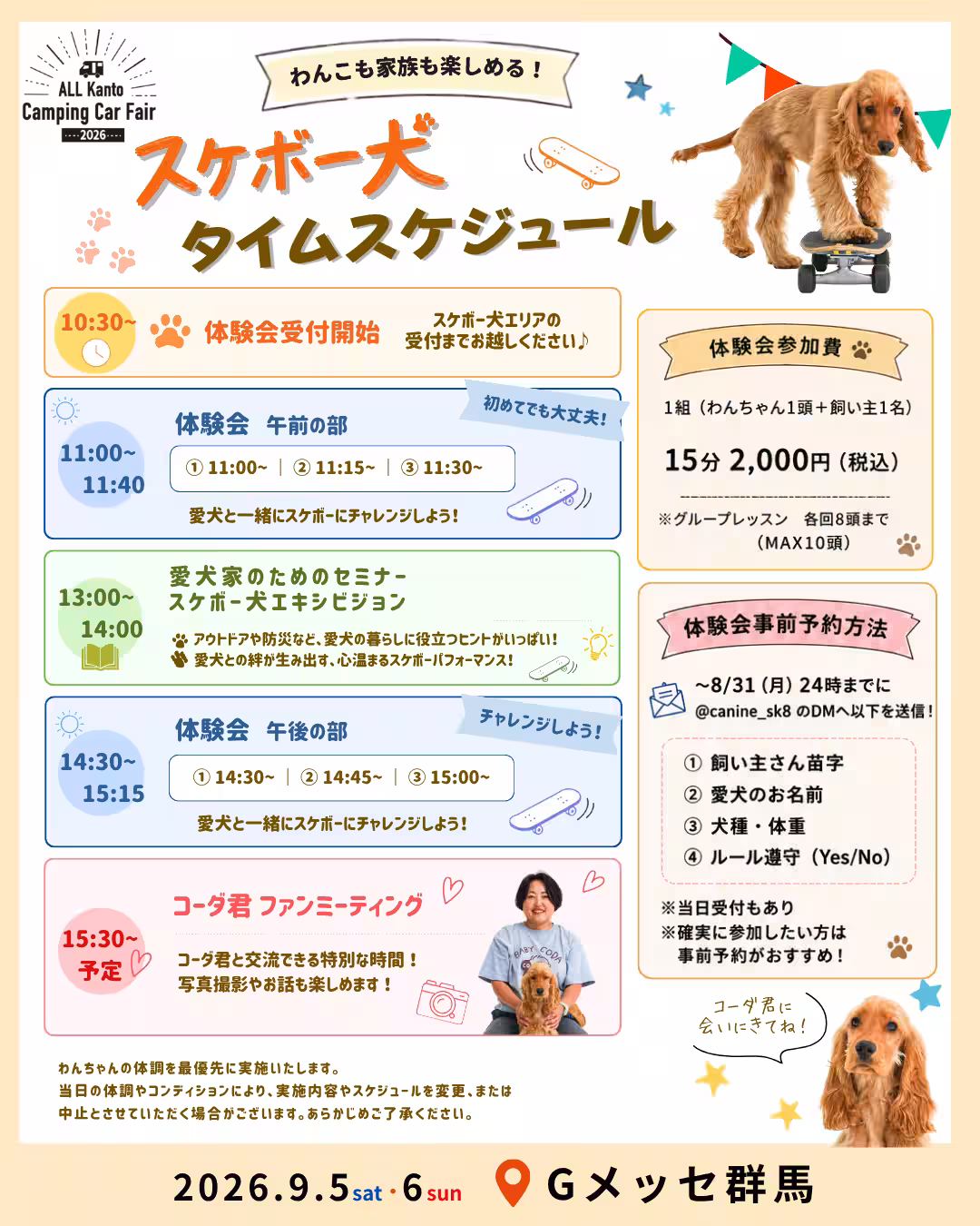 画像7