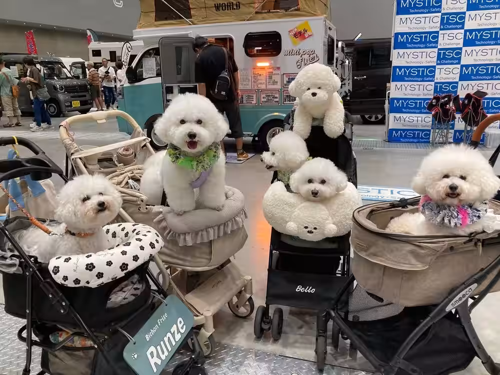 画像8