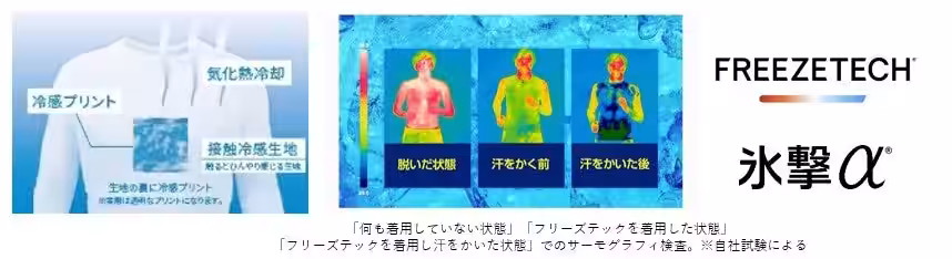 画像12