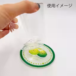 画像7