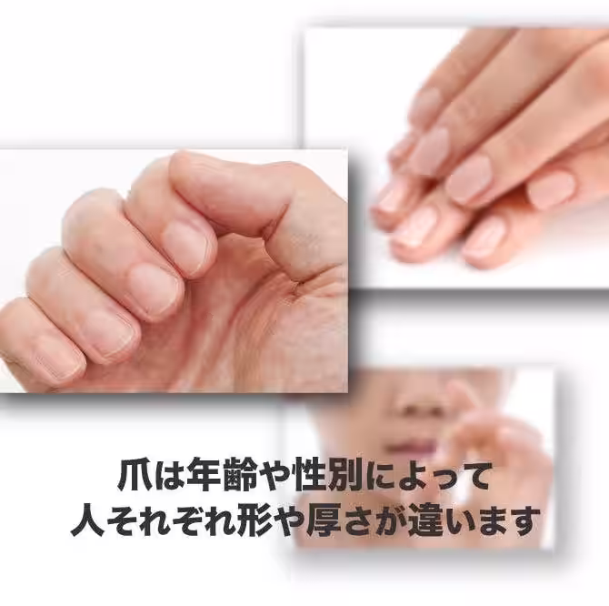 画像12