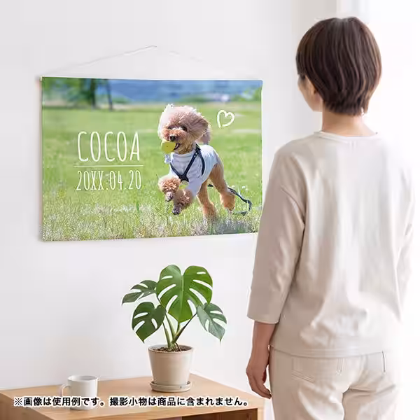 画像3