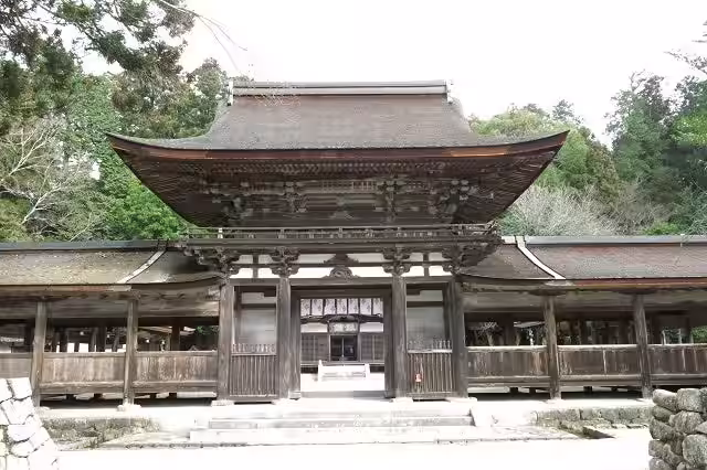 画像4