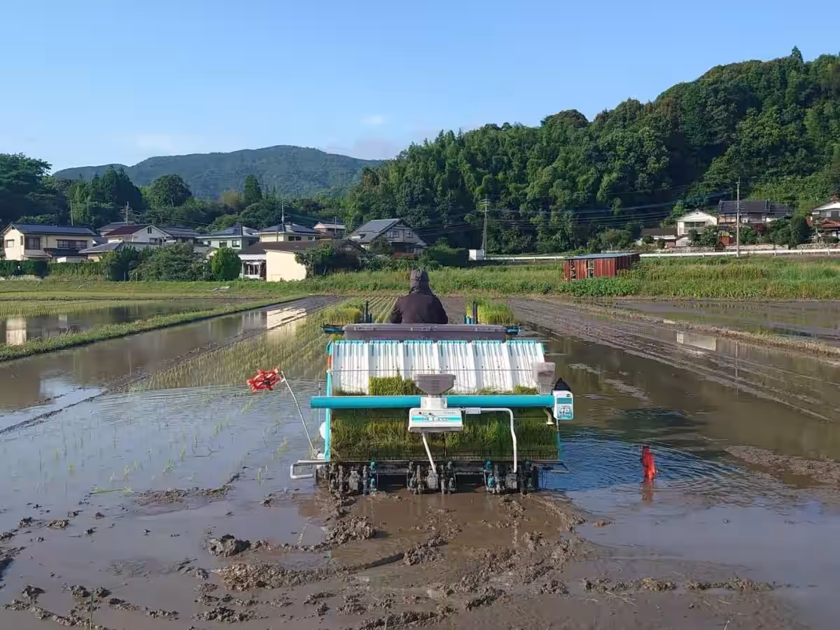 画像8