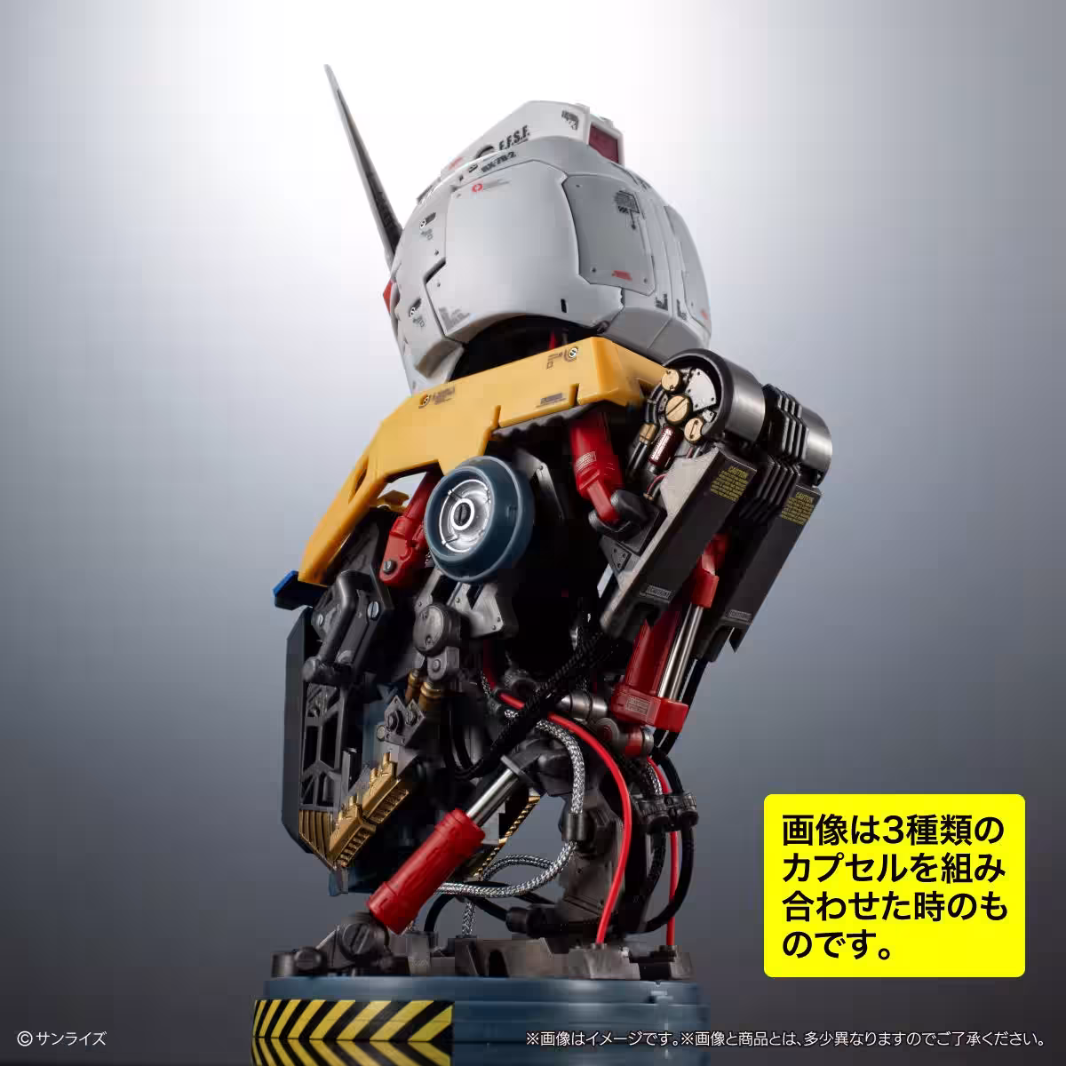 画像14