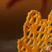 星のや京都 秋の味覚